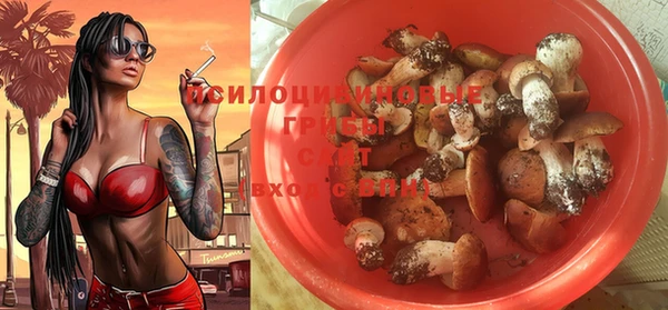 a pvp Богородск